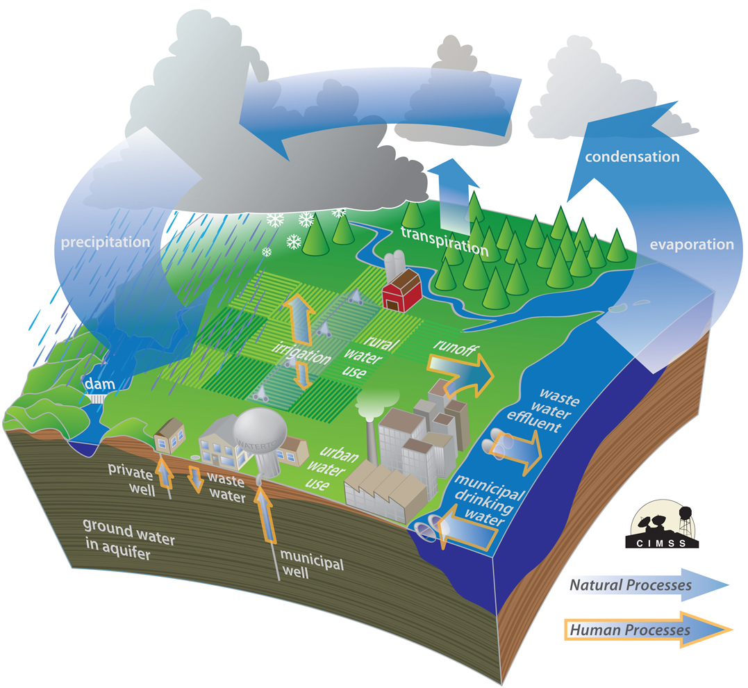 What is the hydrologic cycle? | The Weather Guys
