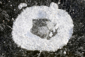 Frozen air bubbles are trapped under ice at Tenney Park.  Clear ice -- such as hazardous black ice -- has no air bubbles in it, while lots of trapped air makes an object look white. (Photo credit:  Mike Devries, The Capital Times archives)