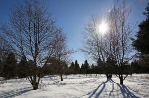 Nature curiosity: Why does some snow sparkle?