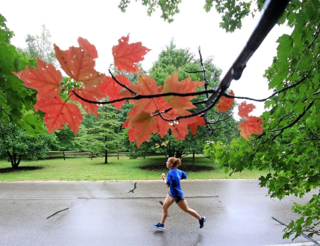 Why are cold snaps in autumn so shortlived? The Weather Guys