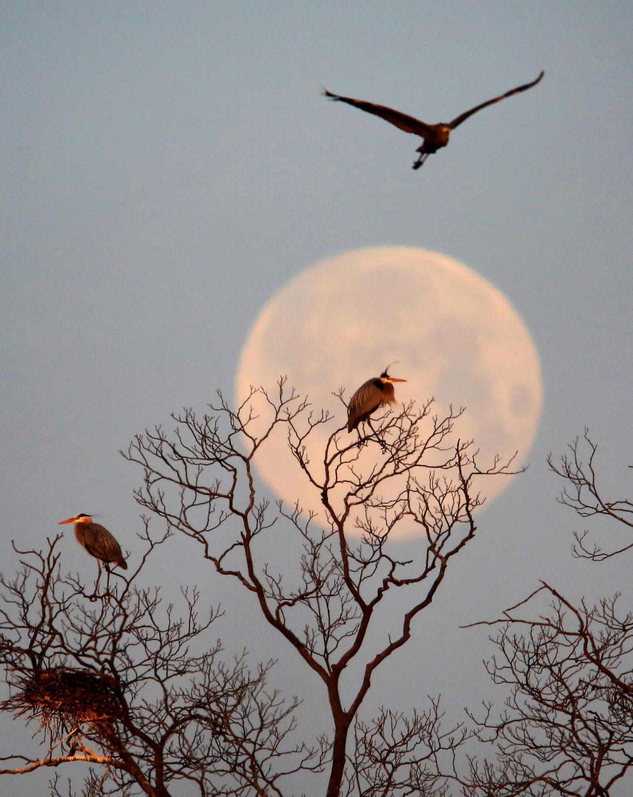 does-the-moon-affect-the-weather-the-weather-guys