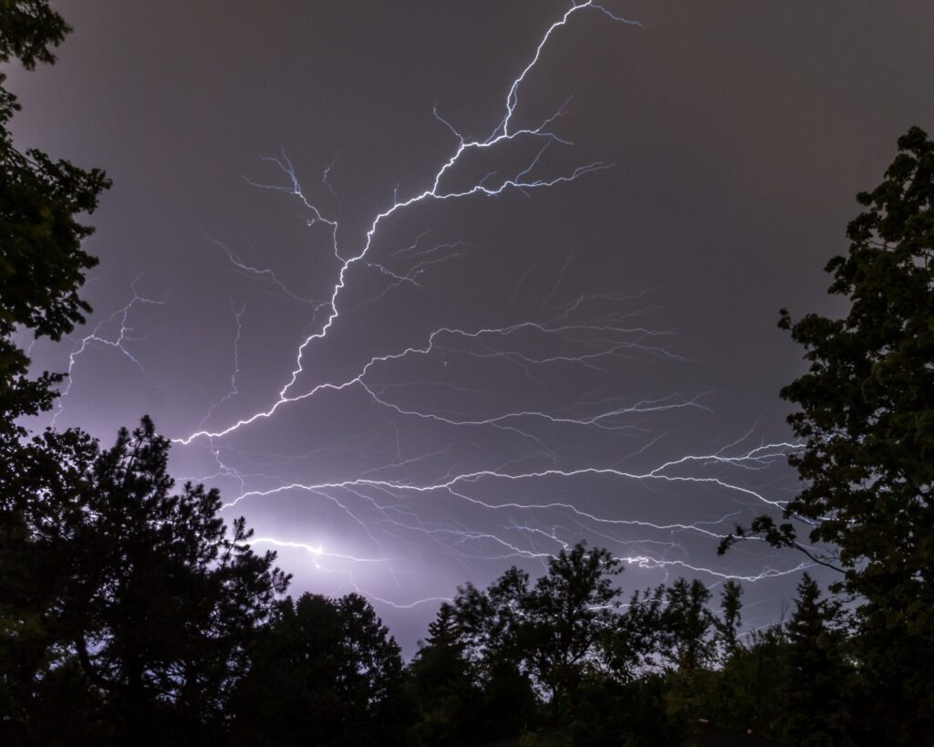 Do birds get struck by lightning? The Weather Guys